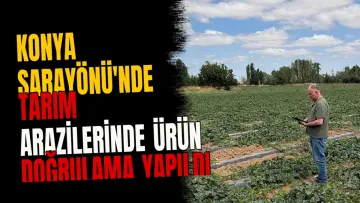 Konya Sarayönü'nde Tarım Arazilerinde Ürün Doğrulama Yapıldı