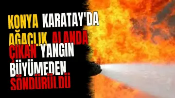 Konya Karatay'da ağaçlık alanda çıkan yangın büyümeden söndürüldü