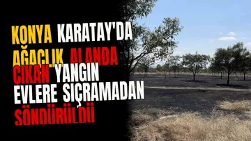 Konya Karatay'da ağaçlık alanda çıkan yangın evlere sıçramadan söndürüldü