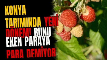 Konya tarımında yeni dönem! Bunu eken paraya para demiyor