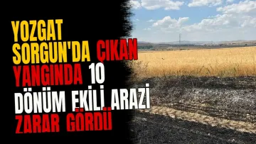 Yozgat Sorgun'da çıkan yangında 10 dönüm ekili arazi zarar gördü