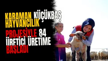 Karaman küçükbaş hayvancılık projesiyle 84 üretici üretime başladı