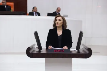 DEM Parti'den AK Parti'nin Tülay Hatimoğulları tepkisine yanıt