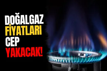 Doğal Gaz Fiyatlarında Kış Alarmı!