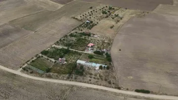 Emekli Öğretmenin 15 Yıllık Azmi Herkesin Yüzünü Gülümsetti