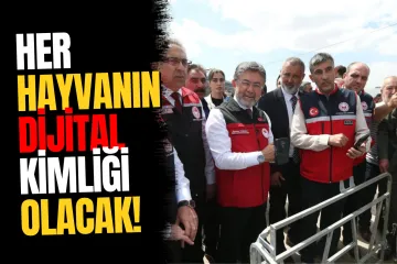 Hayvancılıkta Yeni Dönem! Artık Her Hayvanın Dijital Kimliği Olacak
