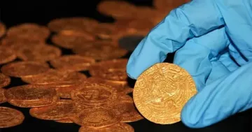 İngiltere’de Tarladan 244 Torba Tarihi Eser Çıktı