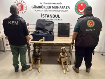 İstanbul’da Uyuşturucu Operasyonu: 11 Şüpheli Gözaltında