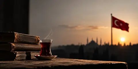 İstikrar Mücadelesi