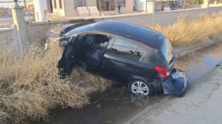 Kadın Sürücü Canını Zor Kurtardı! Karaman'da Sahipsiz Köpek Dehşeti