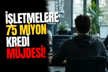 KOBİ'lere 75 Milyon Liraya Kadar KOSGEB Kredi Desteği