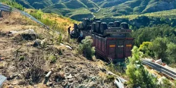 Konya-Antalya yolunda feci kaza: Yem yüklü tır şarampole devrildi