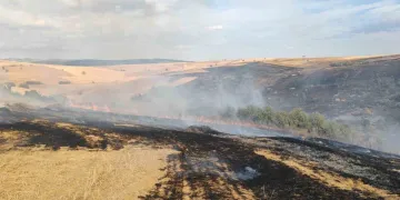 Konya’da Yol Kenarında Başlayan Yangın Rüzgarla Yayıldı: İtfaiye Ekipleri Alarmda