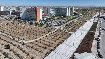 Konya Şehir Hastanesi Çevresinde Yeşil Alan İhmali: Dikilen Fidanlar Kurumaya Terk Edildi