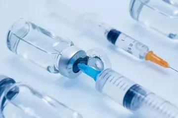 Kulu'da toplu hayvan ölümleri endişelendirdi: 38 koyun telef oldu