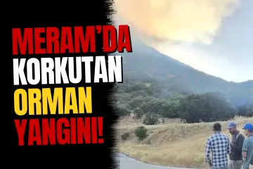 Meram'da Çıkan Orman Yangını Kontrol Altına Alındı