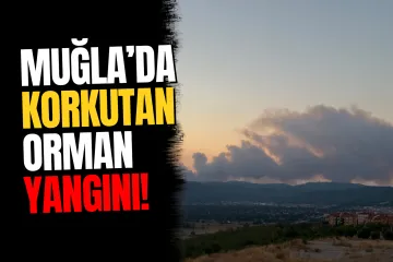 Muğla’da Korkutan Orman Yangını