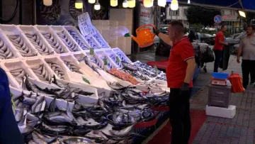 Rize’de Palamut ve Hamsi Bolluğu Tezgâhları Hareketlendirdi