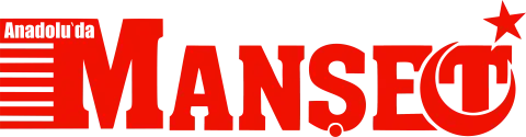 Sayı 215