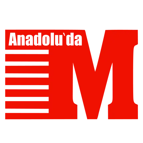 Sayı 216
