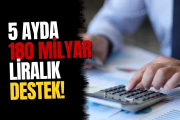 Sigorta prim teşviklerinde 5 ayda 180,8 milyar liralık destek