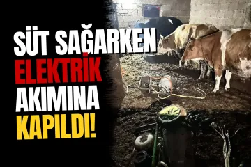 Süt Sağma Makinesinde Elektrik Akımına Kapılan Kadın Hayatını Kaybetti