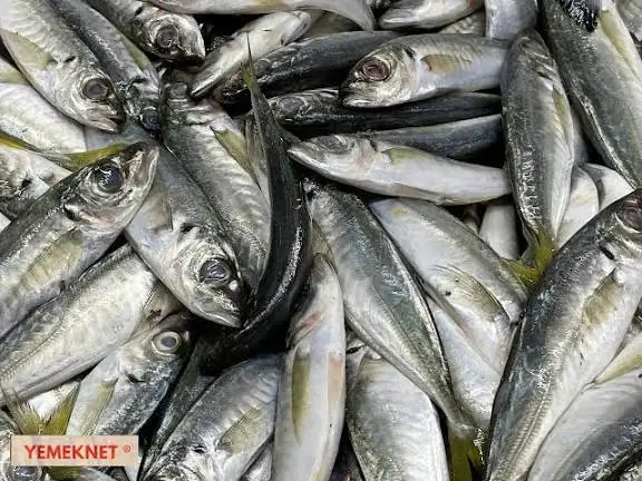 Tanesi 100 Lira Olan Ürünün Fiyatını Öğrenince Sevincinden Ne Yapacağını Bilemedi