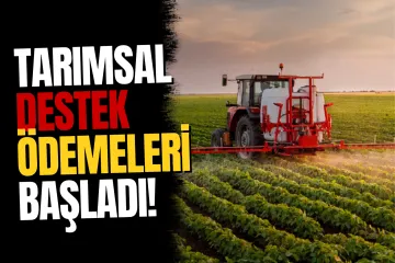 Tarımsal destek ödemeleri başladı: 195,6 milyon lira hesaplara aktarılıyor