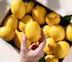 Tarlada 7 Lira, Marketçide 51 Lira! Fiyat Farkı En Çok Limonda