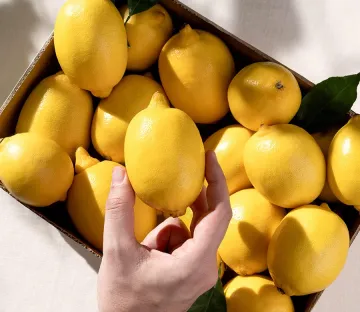 Tarlada 7 Lira, Marketçide 51 Lira! Fiyat Farkı En Çok Limonda