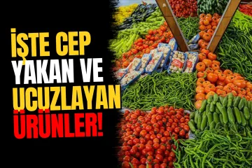 TÜİK Cep Yakan ve Ucuzlayan Ürünleri Duyurdu!