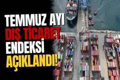 TÜİK Temmuz Ayı Dış Ticaret Endekslerini Açıkladı