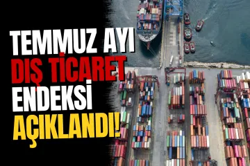 TÜİK Temmuz Ayı Dış Ticaret Endekslerini Açıkladı