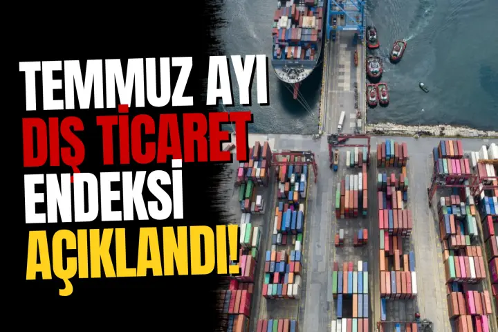 TÜİK Temmuz Ayı Dış Ticaret Endekslerini Açıkladı