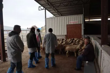 Tüm Süreçler Titizlikle Kontrol Edildi