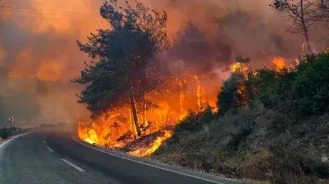 Uzmanlardan sonbahar uyarısı: Orman yangını riski hâlâ yüksek