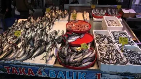 Vatandaş Ucuza Balık Yiyince Balıkçılardan Şaşırtan Çağrı! Avlanmayı Durdurun