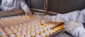 Yumurta Fiyatları İçin Üreticilerden Net Açıklama